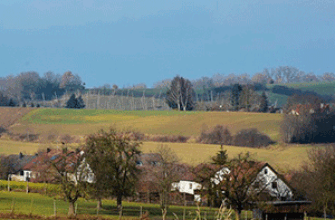 Звуки деревни