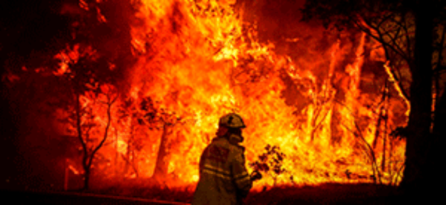 Звук лесного пожара скачать