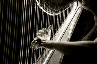 Руки перебирают струны извлекая звуки для монтажа