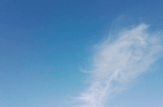 Звук легкого ветра скачать или слушать в хорошем качестве Zvuk tihogo_vetra