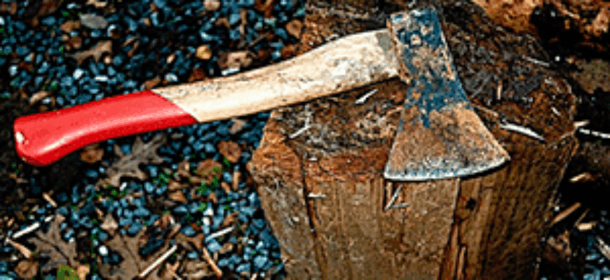 Звук топора по дереву