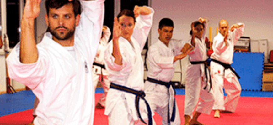 Тренировка карате — звуки карате и айкидо