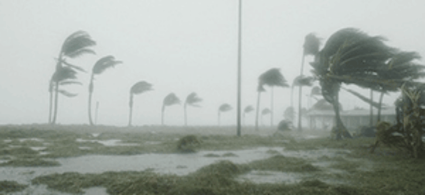 Ветер гнет деревья, льет дождь — звук ветра с дождем