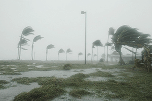 Звук сильного ветра — штормы, ураганы скачать