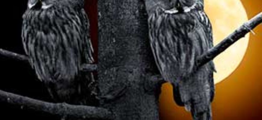 Крики ночных птиц